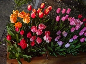 立体交差事業2020年3月13日