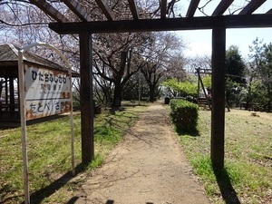 りんりんロード編2020