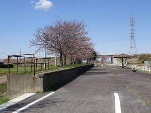 りんりんロード編2020