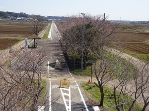 りんりんロード編2020