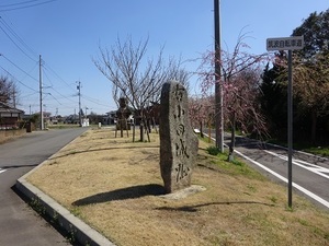 りんりんロード編2020