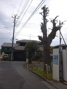 立体交差事業2020年4月22日