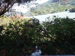 みどり遠征編2019