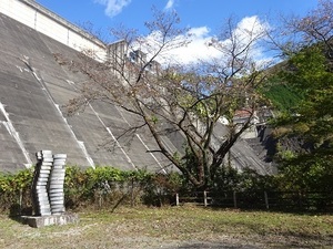 みどり遠征編2019