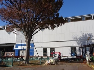 立体交差事業2018年11月20日