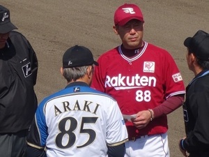 鎌スタ2019