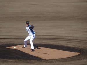 鎌スタ2019