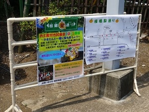 根郷梨通り 野球にプロレス