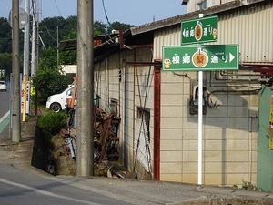 根郷梨通り 野球にプロレス