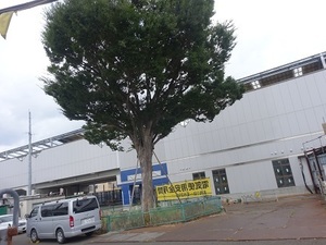 立体交差事業2019年8月27日
