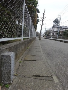 立体交差事業2019年3月29日