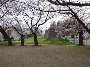 立体交差事業2019年3月29日