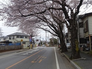 立体交差事業2019年3月29日