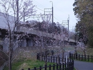 立体交差事業2019年3月29日